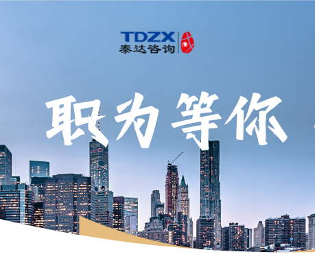 低空经济咨询项目负责人